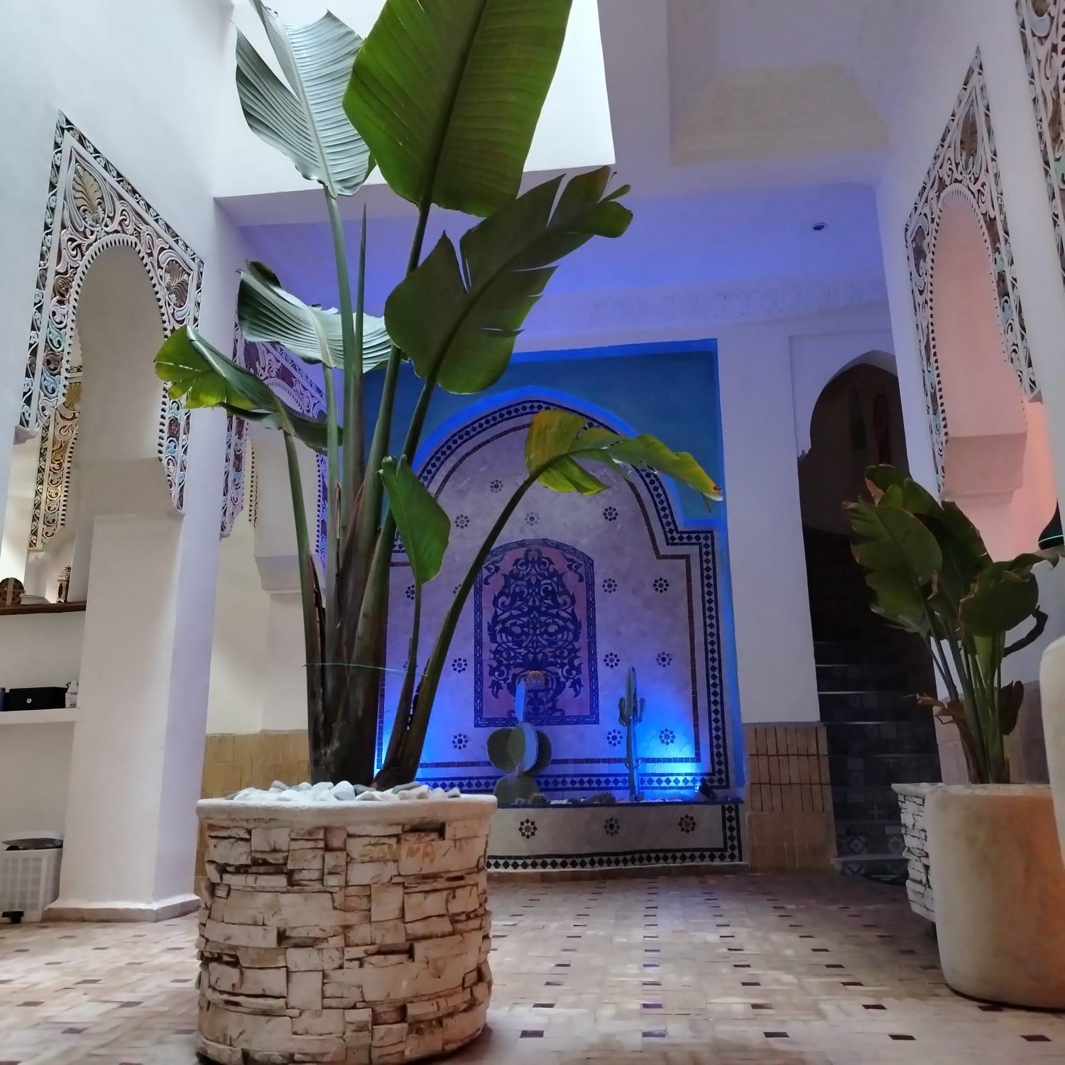 Riad & Spa Sous Le Soleil Chez Jerome Et Pamela Ch Marrakchi Marrakesh Exteriör bild