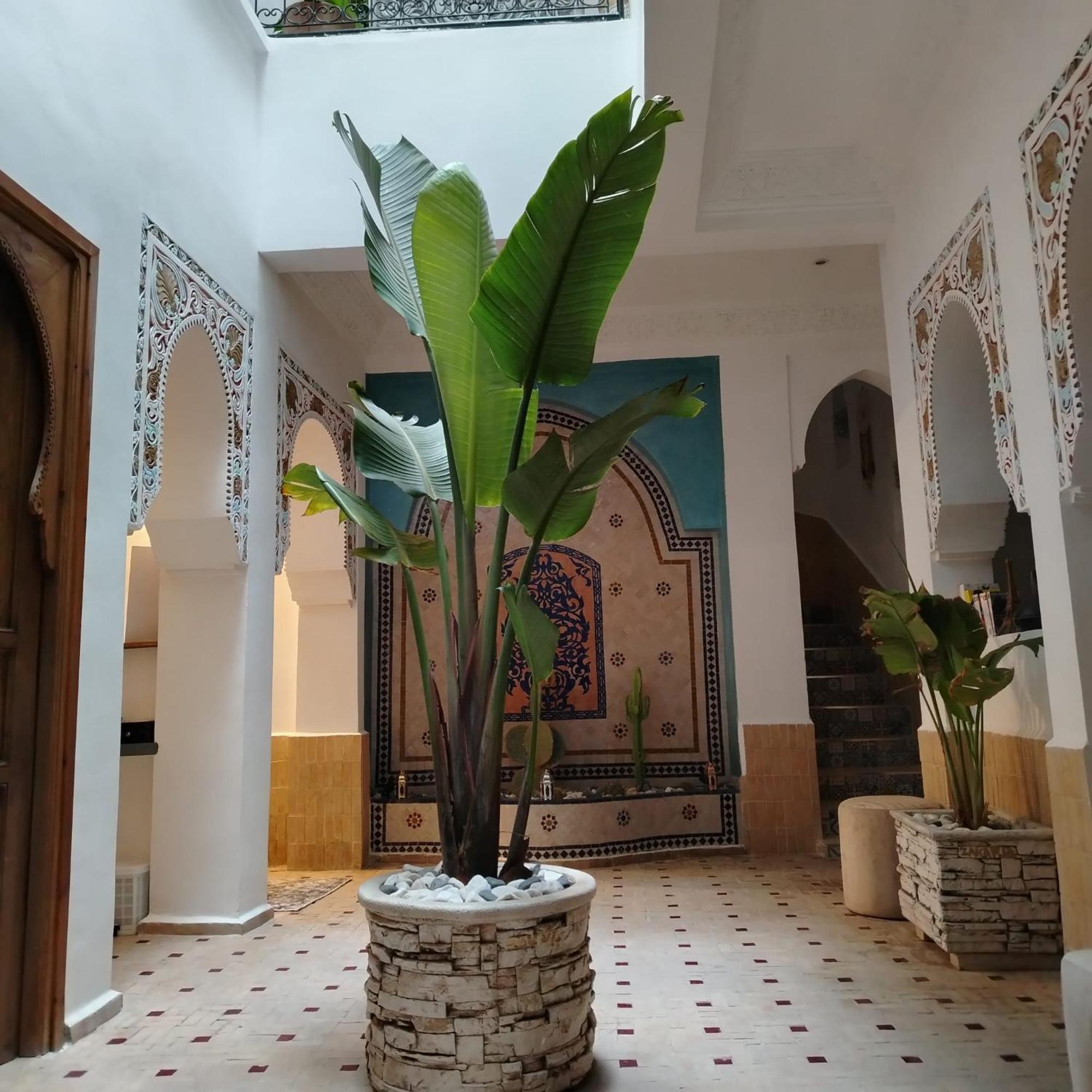 Riad & Spa Sous Le Soleil Chez Jerome Et Pamela Ch Marrakchi Marrakesh Exteriör bild